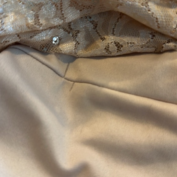 Scarlett Tan Lace and Sequins Short Sleeve Special Occassion Party Dress Size 6 - Picture 10 of 11